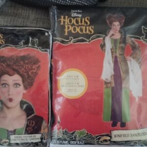 Disney Hocus Pocus Winifred Sanderson Costume - Green and Purple
